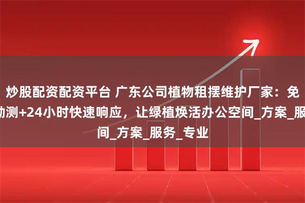 炒股配资配资平台 广东公司植物租摆维护厂家：免费上门勘测+24小时快速响应，让绿植焕活办公空间_方案_服务_专业